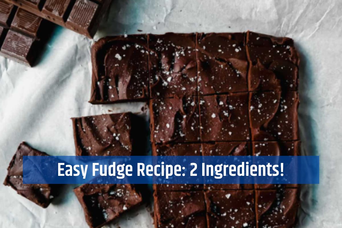 Easy Fudge Recipe: 2 Ingredients!